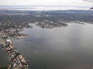 320px-Aerial_view_of_South_Tampa,_Florida