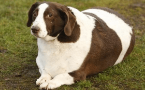 screen-shot-2016-09-28-at-10-50-10-am