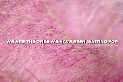 screen-shot-2016-12-12-at-6-22-28-pm