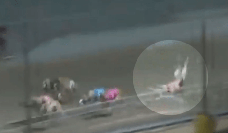 screen-shot-2017-03-03-at-3-10-05-pm