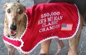 screen-shot-2017-03-03-at-3-10-11-pm