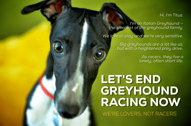 screen-shot-2017-03-03-at-3-45-34-pm